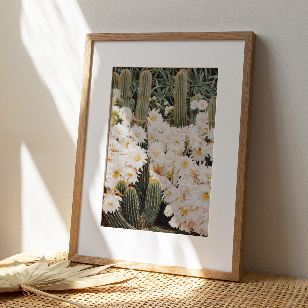 Floral Cactus | Photography Art Print