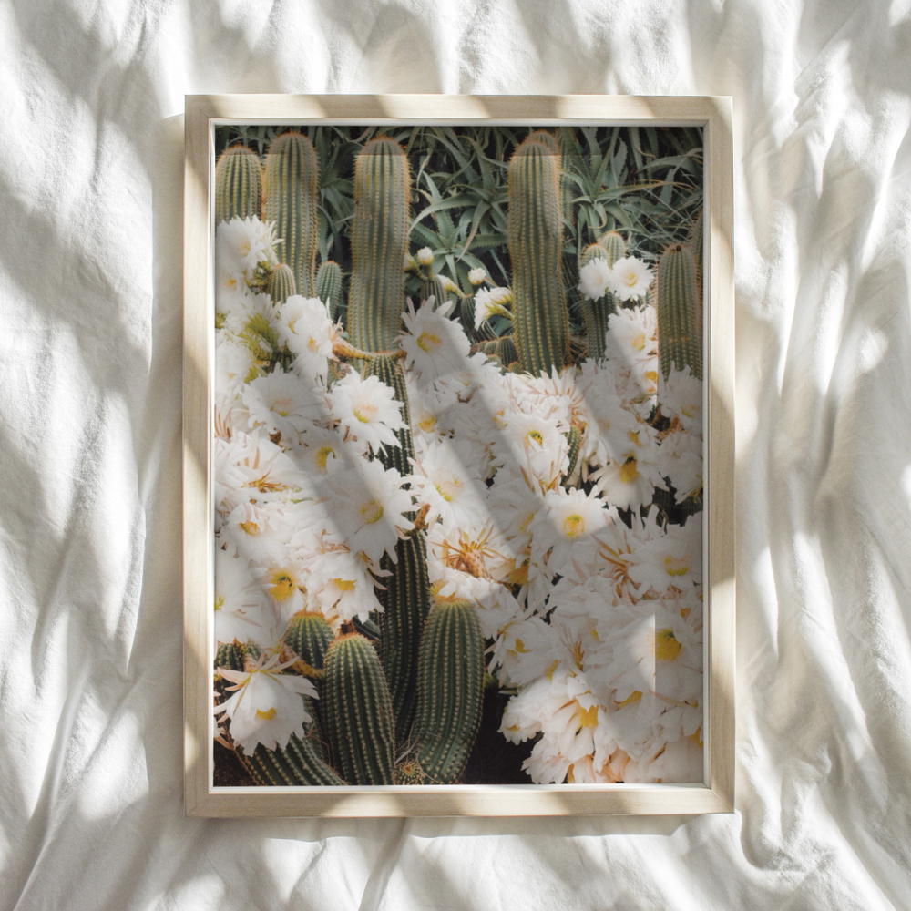 Floral Cactus | Photography Art Print
