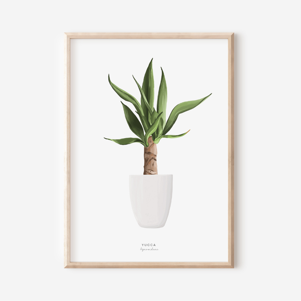 Houseplants - Yucca Tree | Art Print