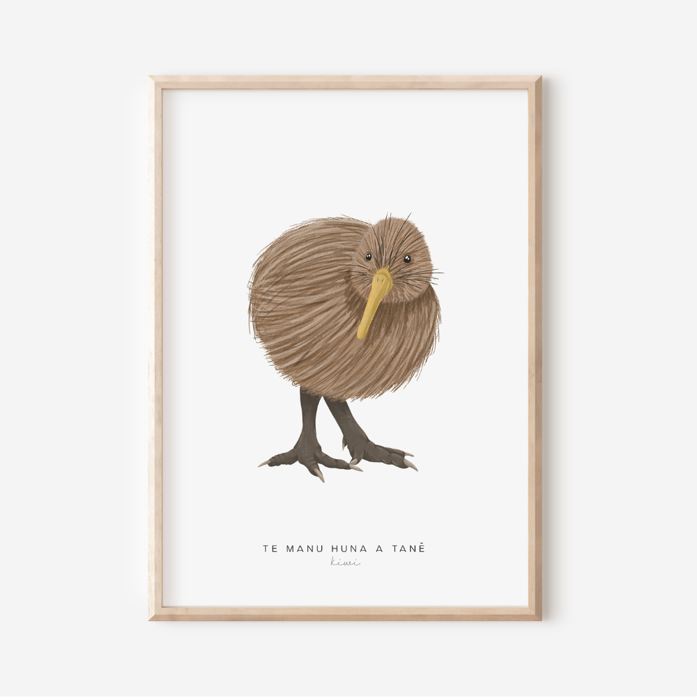 New Zealand Bird - Kiwi | Art Print