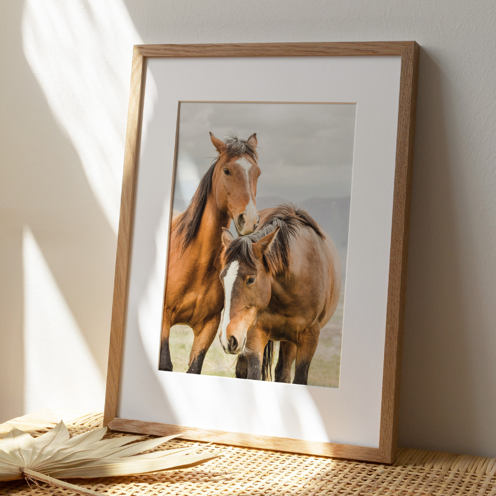 Horse Duo II | Photography Art Print