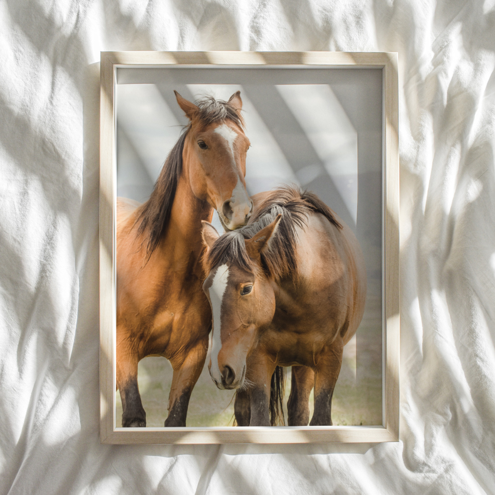 Horse Duo II | Photography Art Print