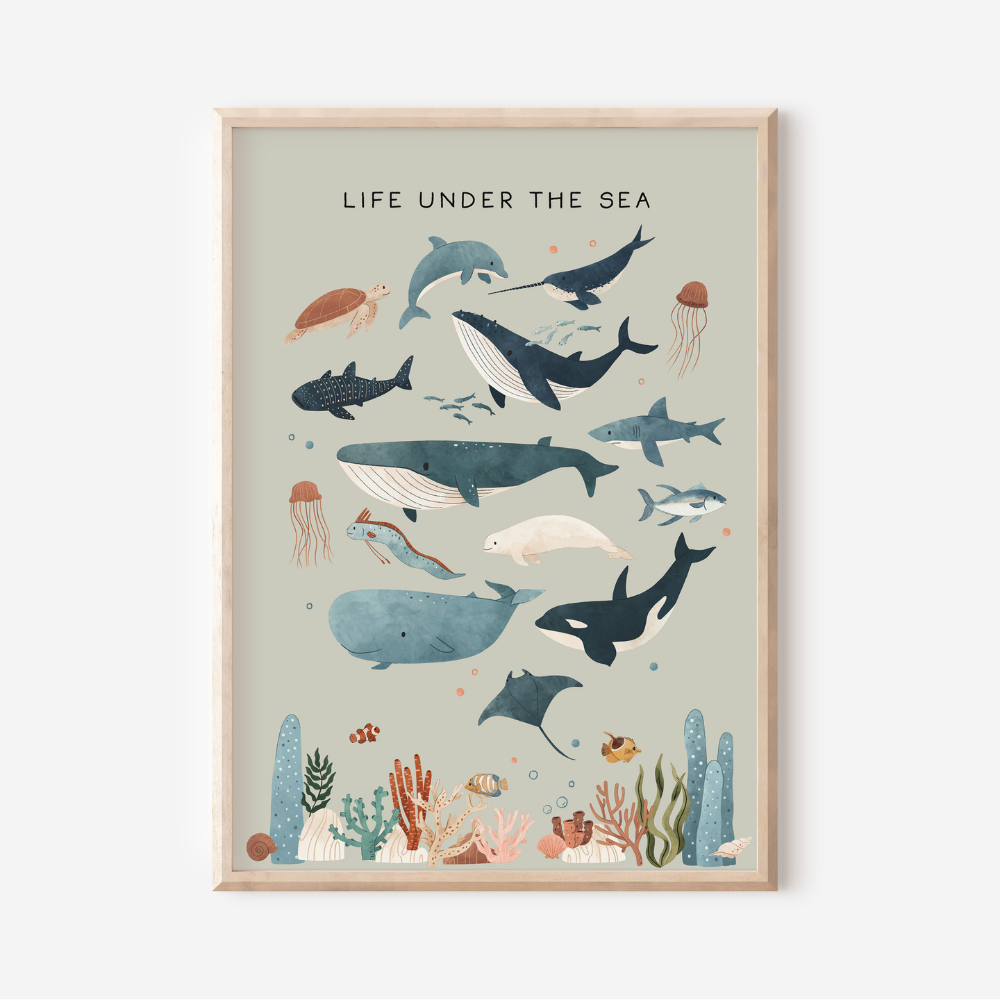 Life Under The Sea | Art Print