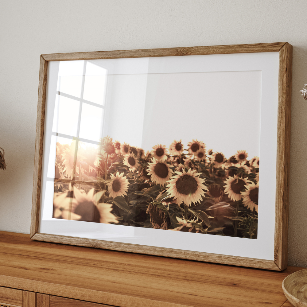 Sunflower Field | Photography Art Print