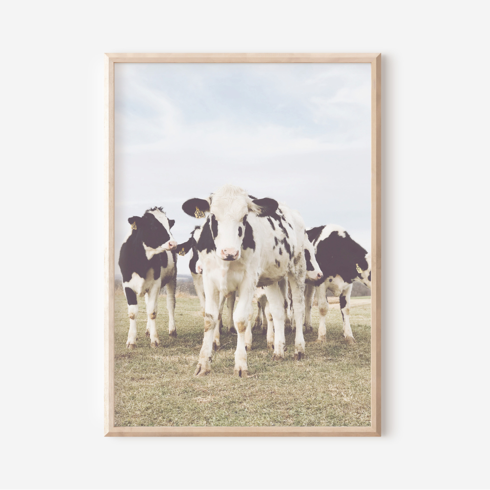 On The Farm | Photography Art Print