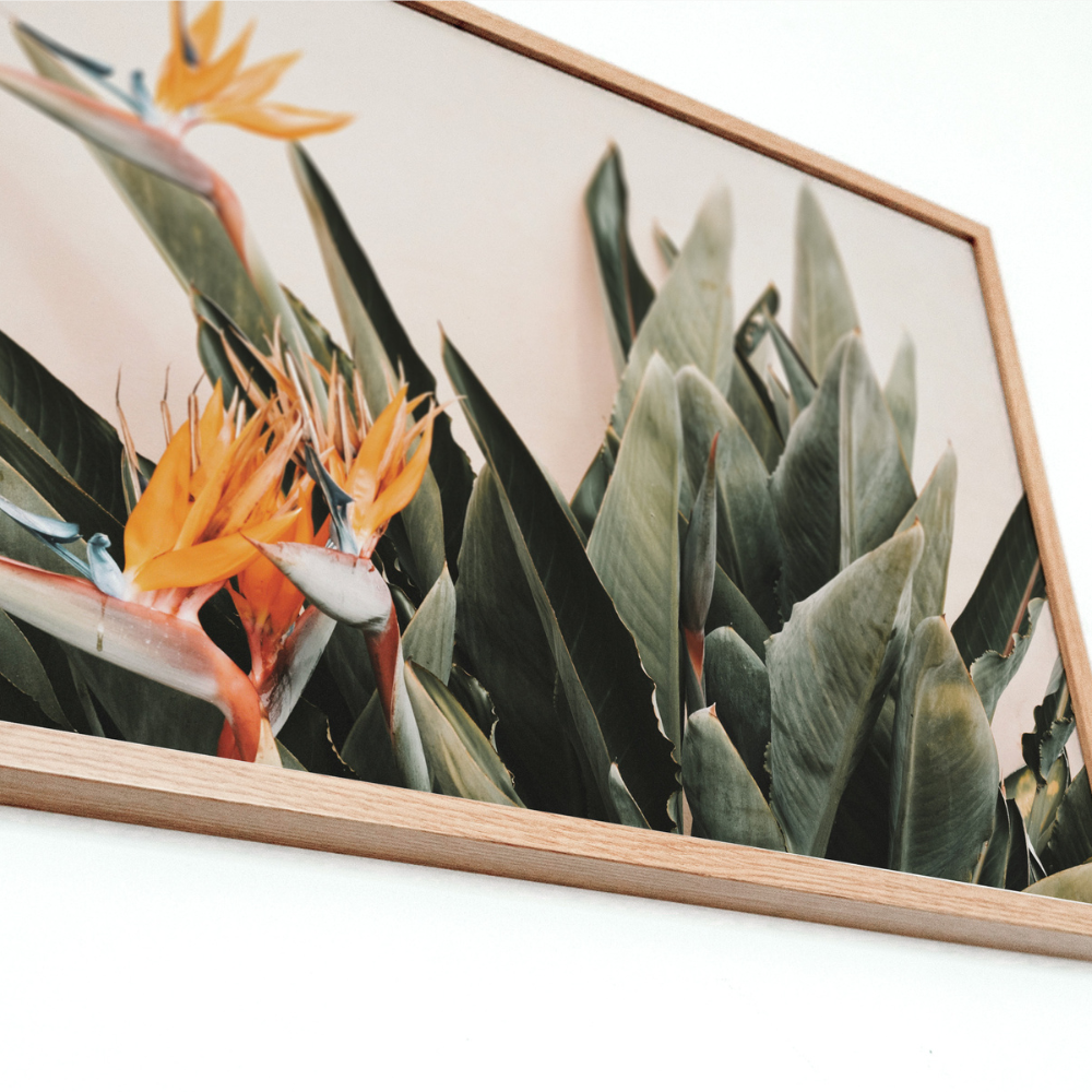 Birds of Paradise | Photography Art Print