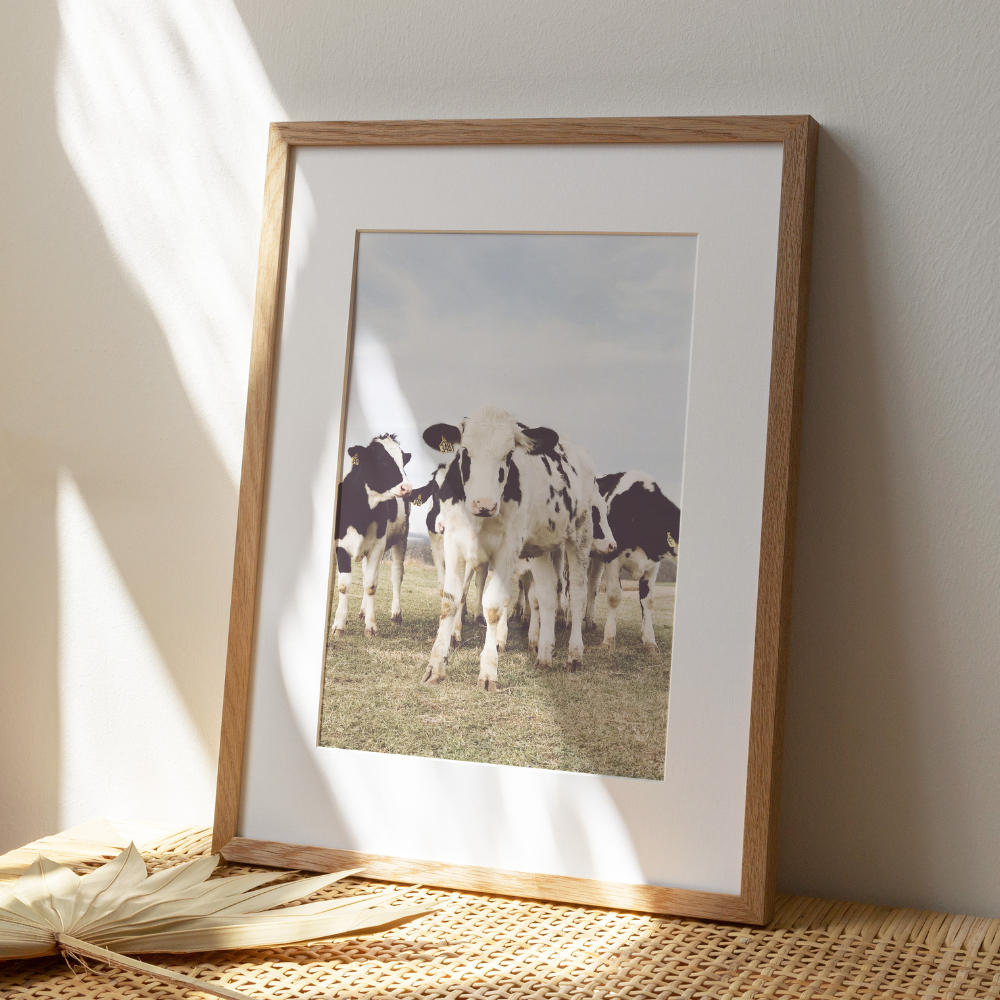 On The Farm | Photography Art Print