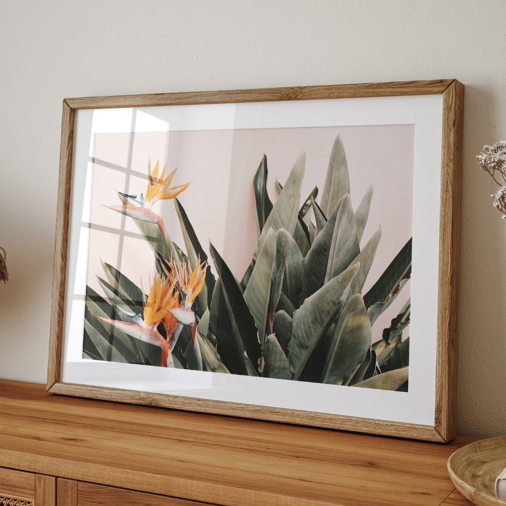Birds of Paradise | Photography Art Print