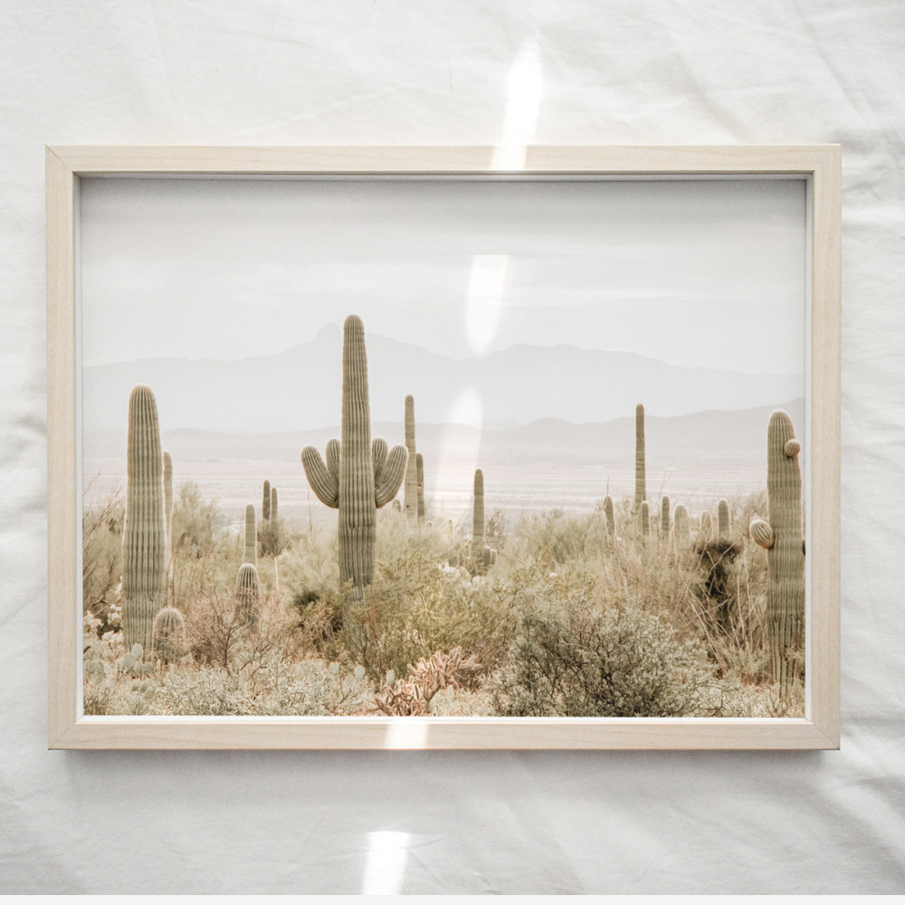Arizona Desert | Photography Art Print