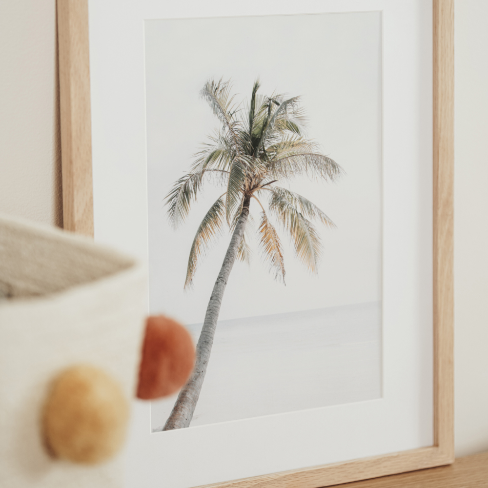 Beach Palm | Photography Art Print