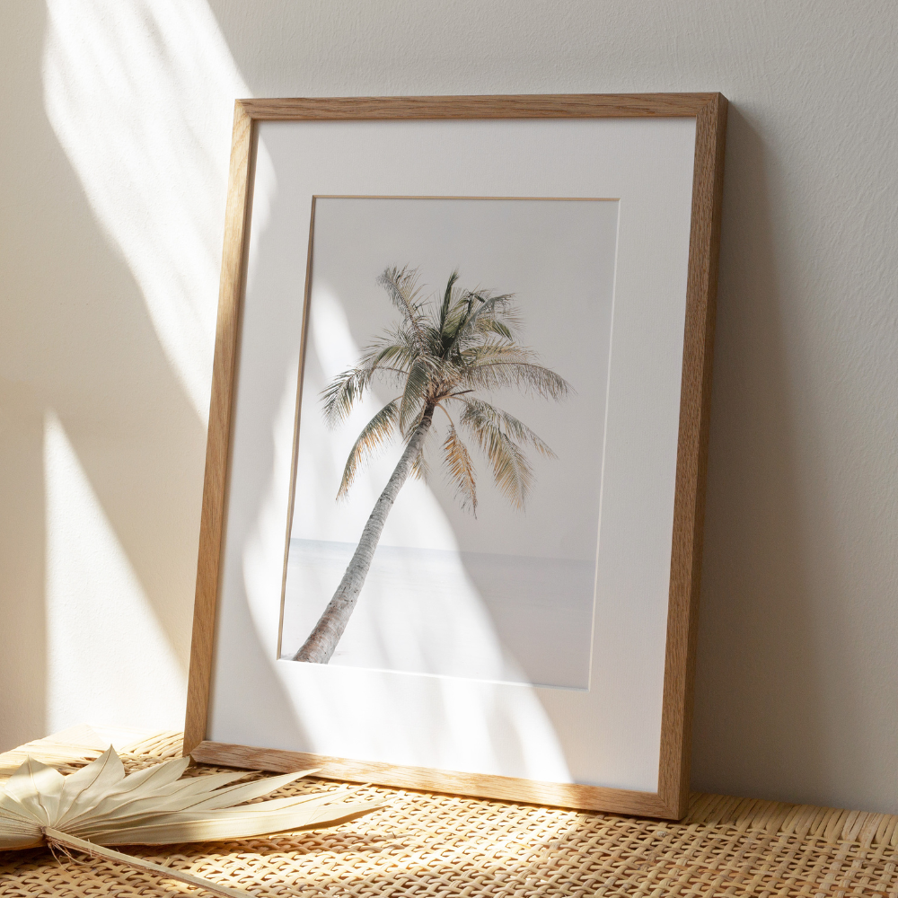 Beach Palm | Photography Art Print