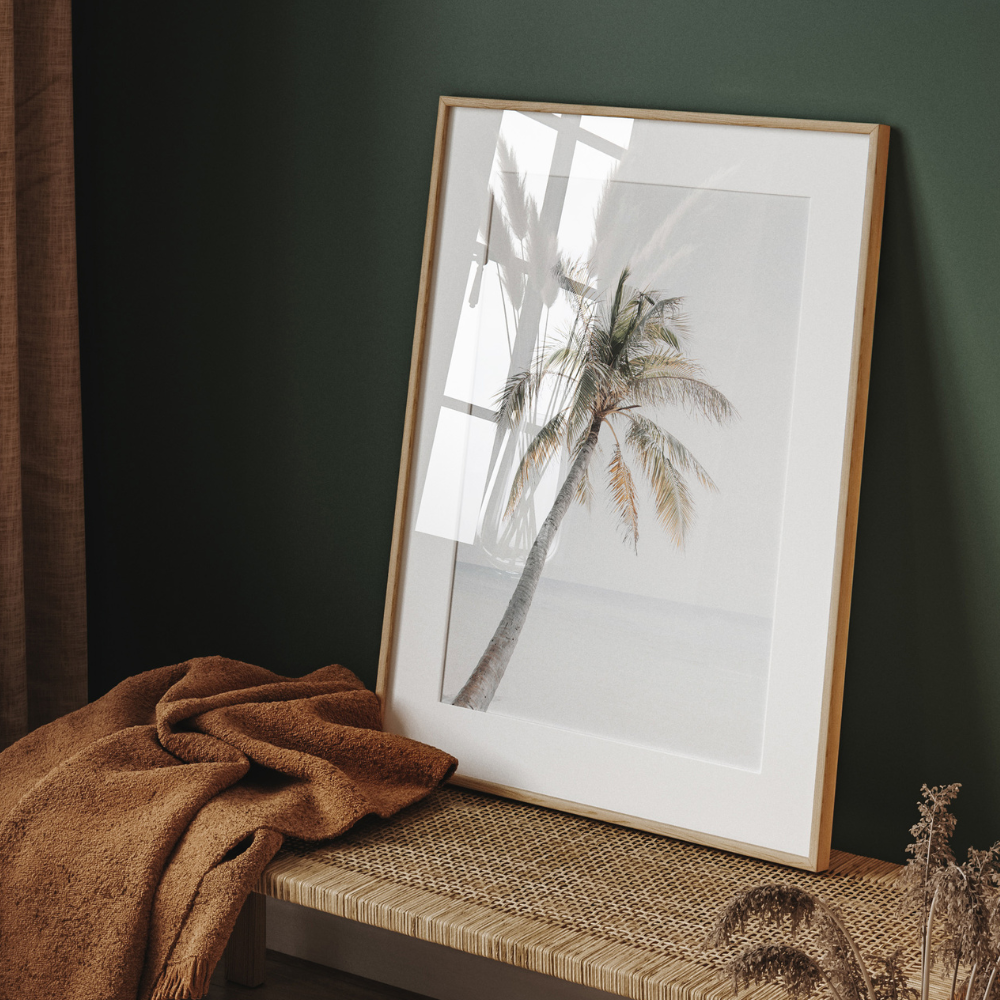 Beach Palm | Photography Art Print