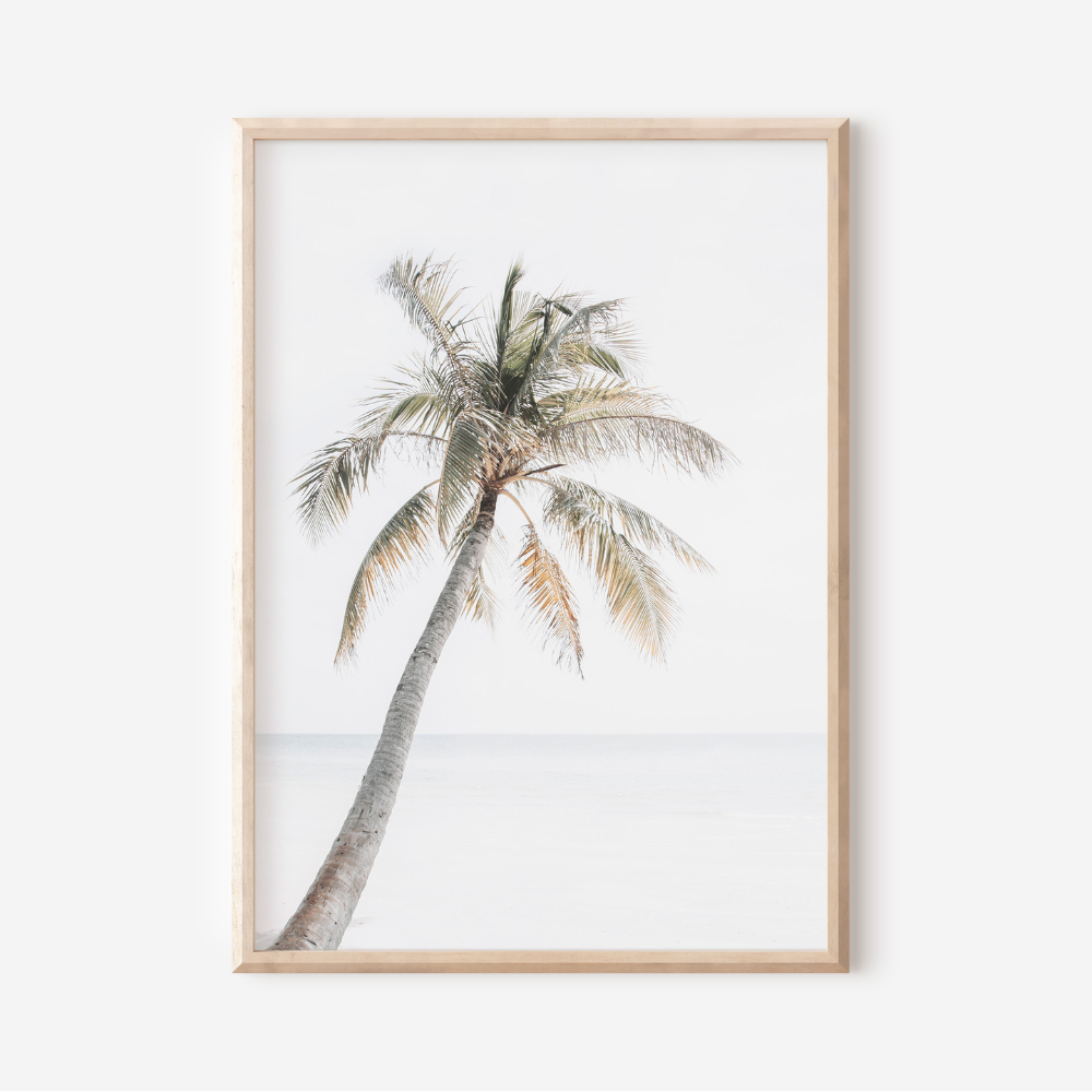 Beach Palm | Photography Art Print