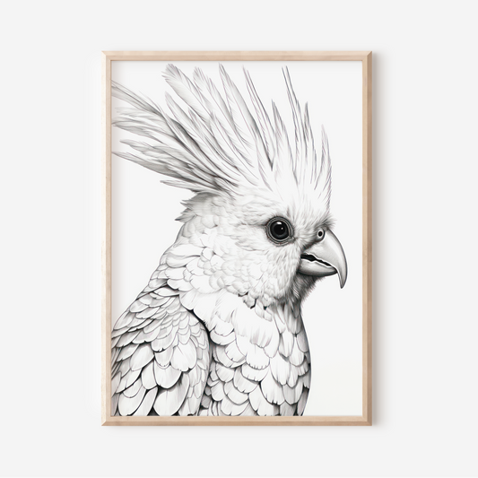 Cockatoo | Art Print