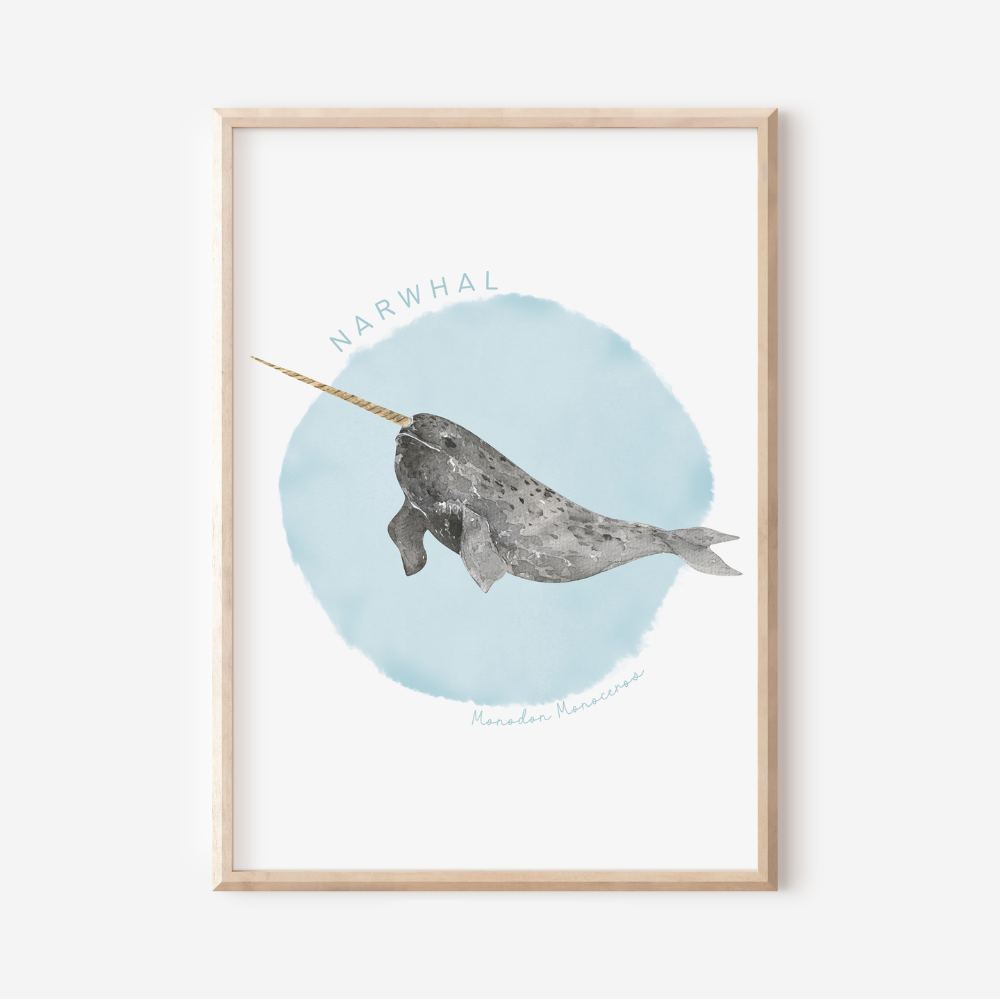 Ocean Life - Narwhal | Art Print