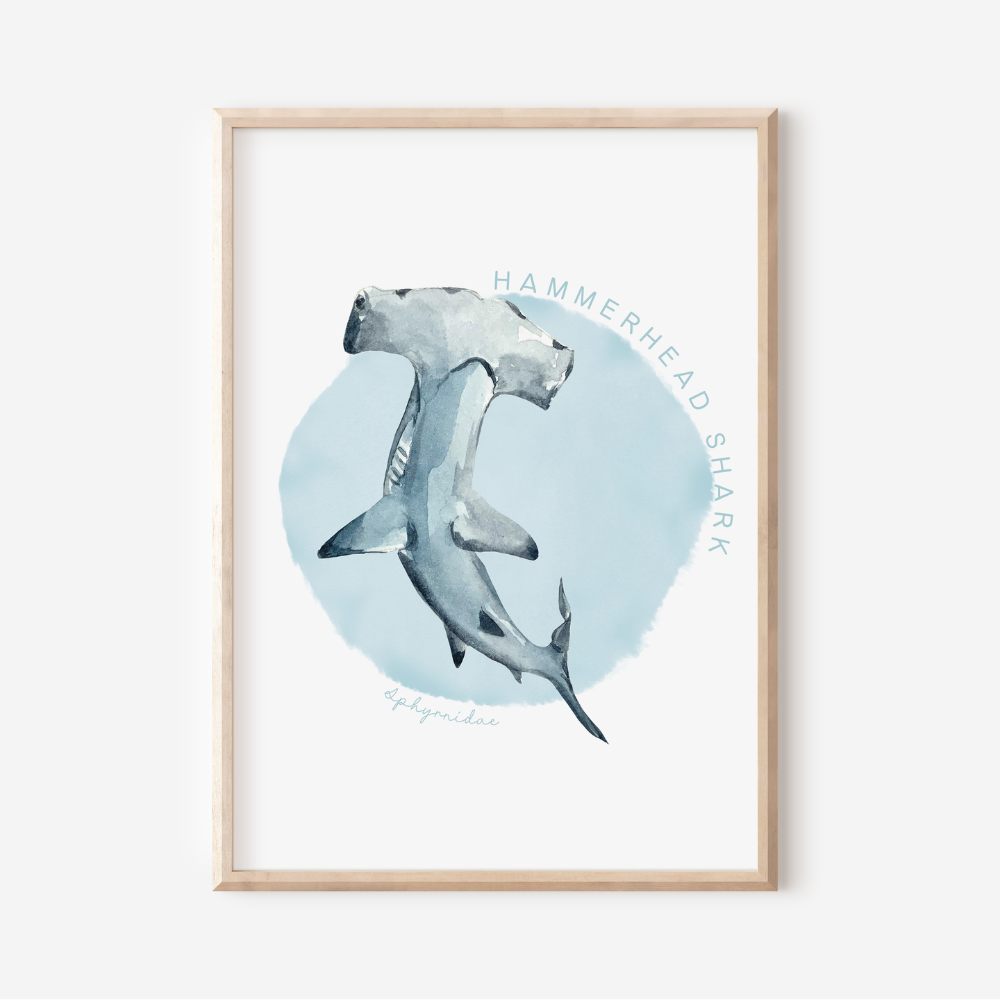 Ocean Life - Hammerhead Shark | Art Print