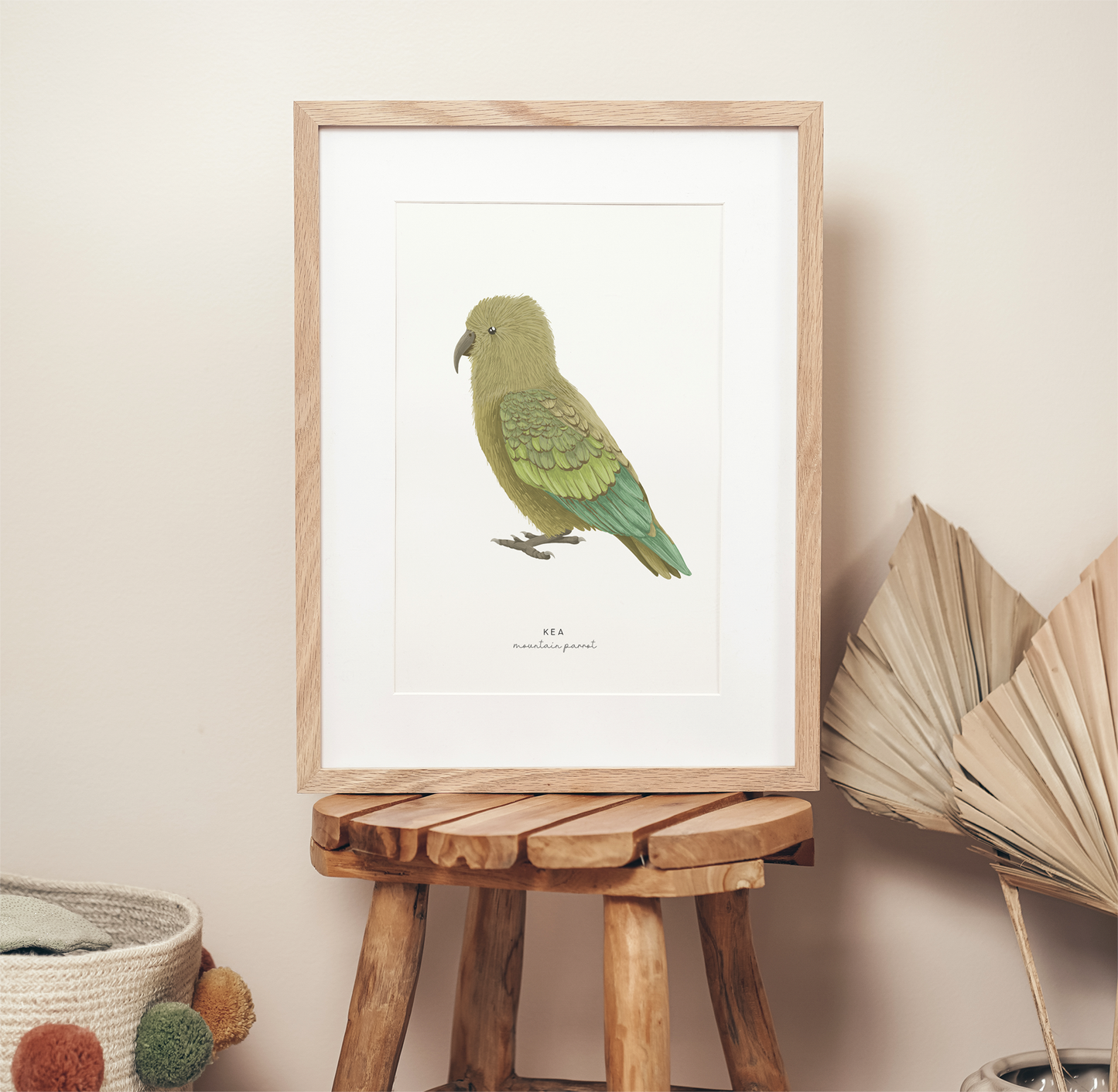 New Zealand Bird - Kea | Art Print