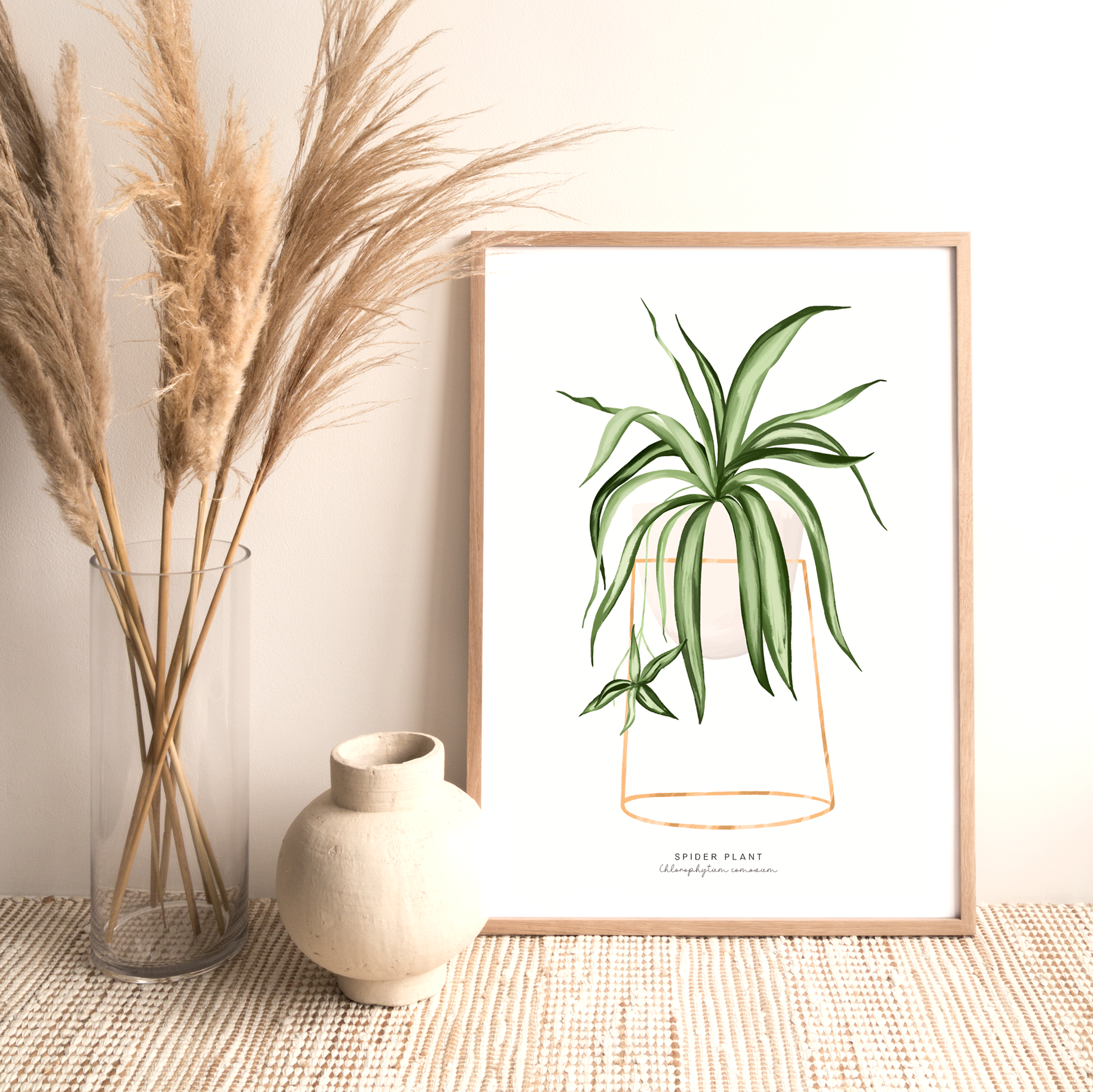 Houseplants - Spider Plant | Art Print – inkling.nz
