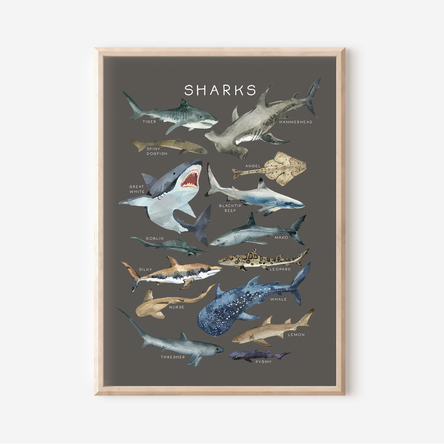 Sharks | Art Print