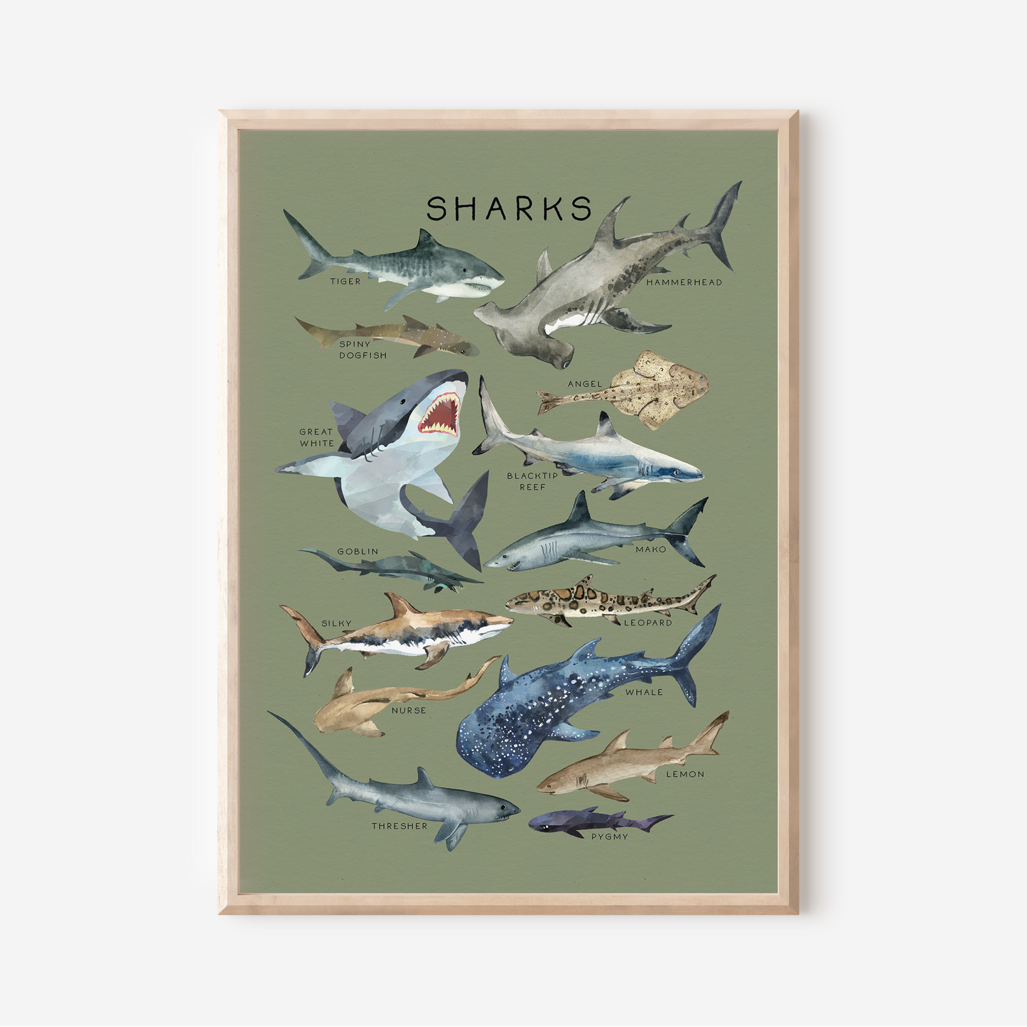 Sharks | Art Print