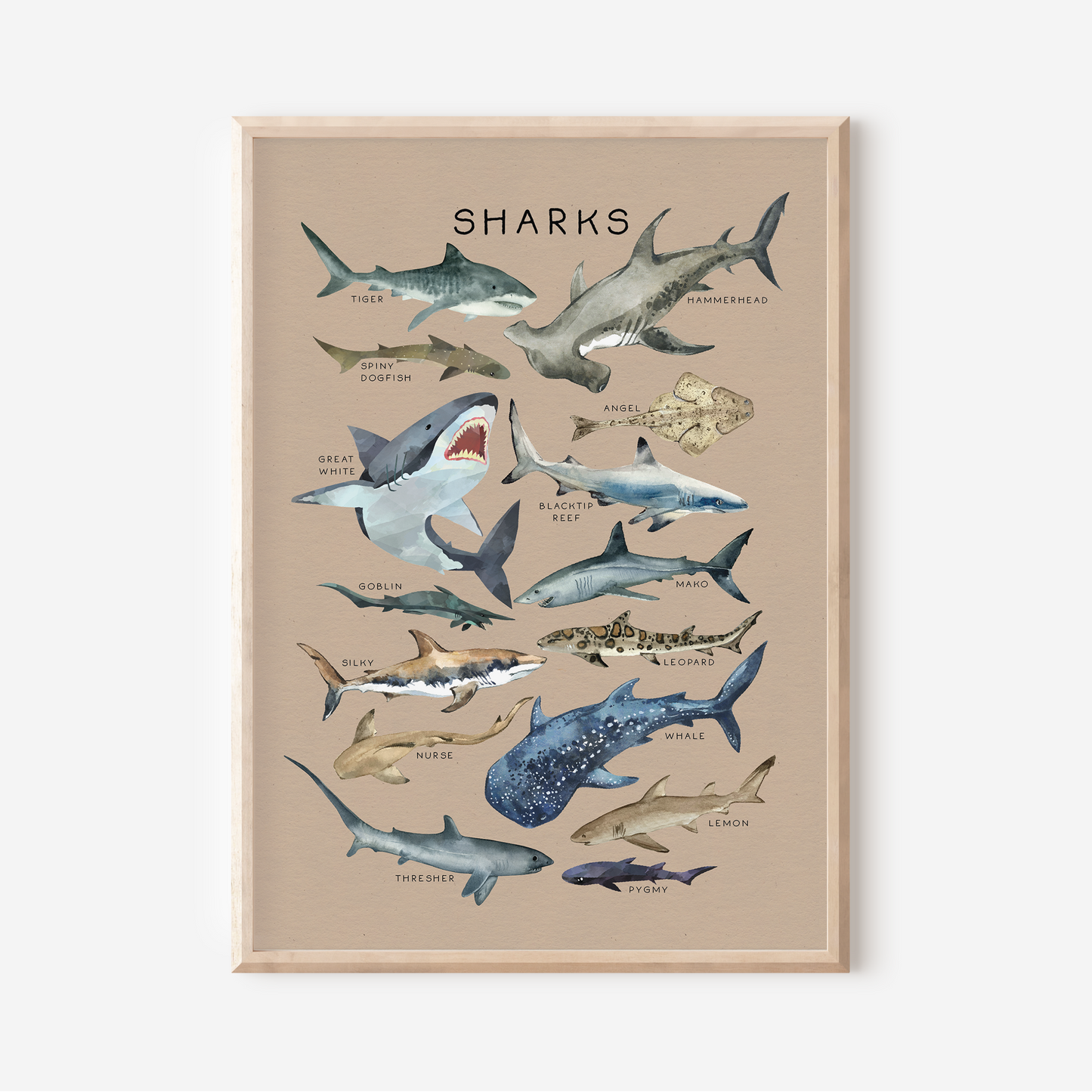 Sharks | Art Print