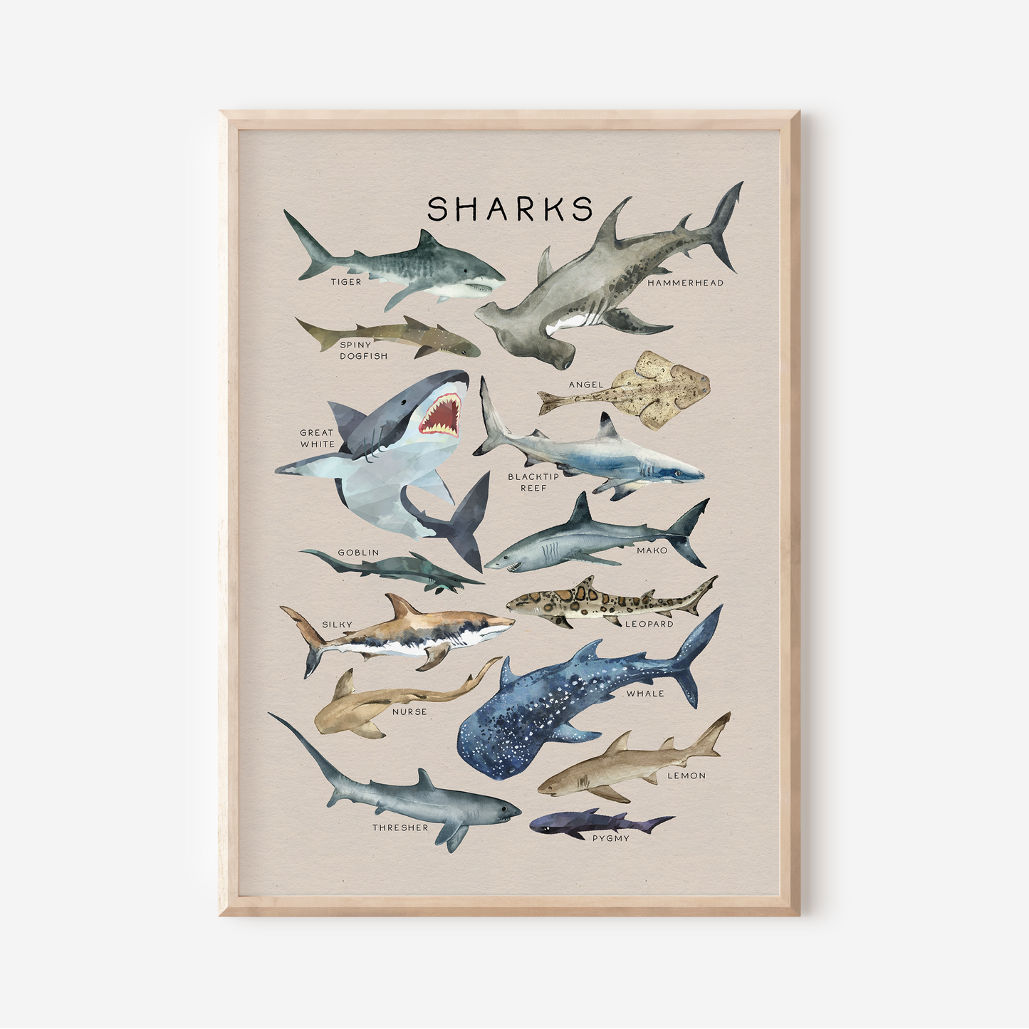 Sharks | Art Print