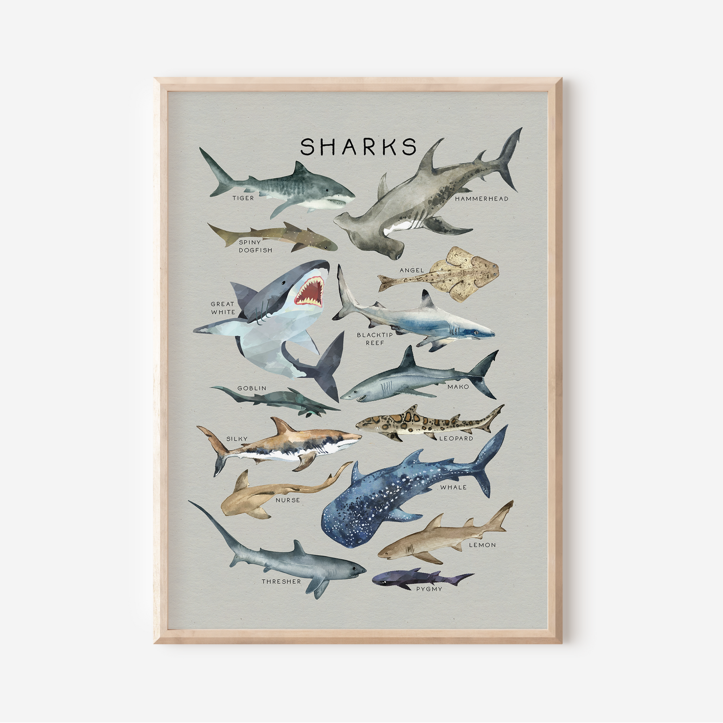 Sharks | Art Print