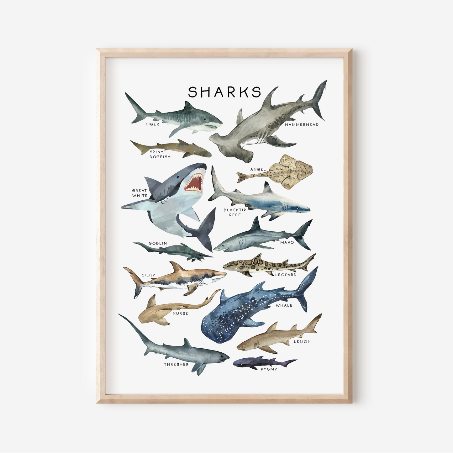 Sharks | Art Print