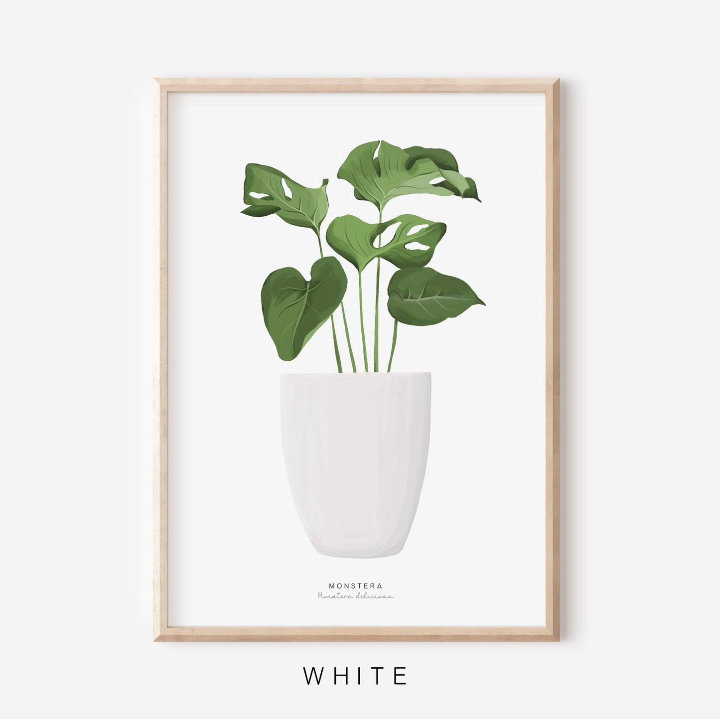 Houseplants - Monstera | Art Print