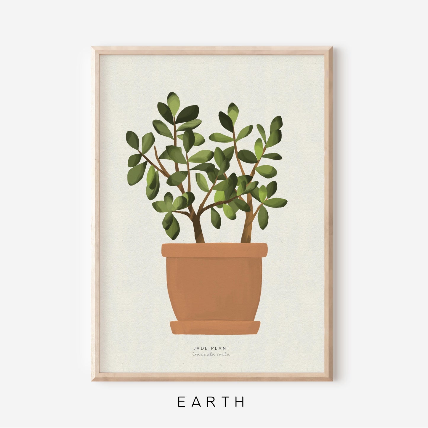 Houseplants - Jade Plant | Art Print