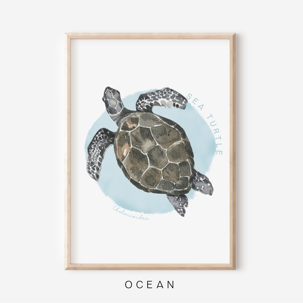 Ocean Life - Sea Turtle | Art Print