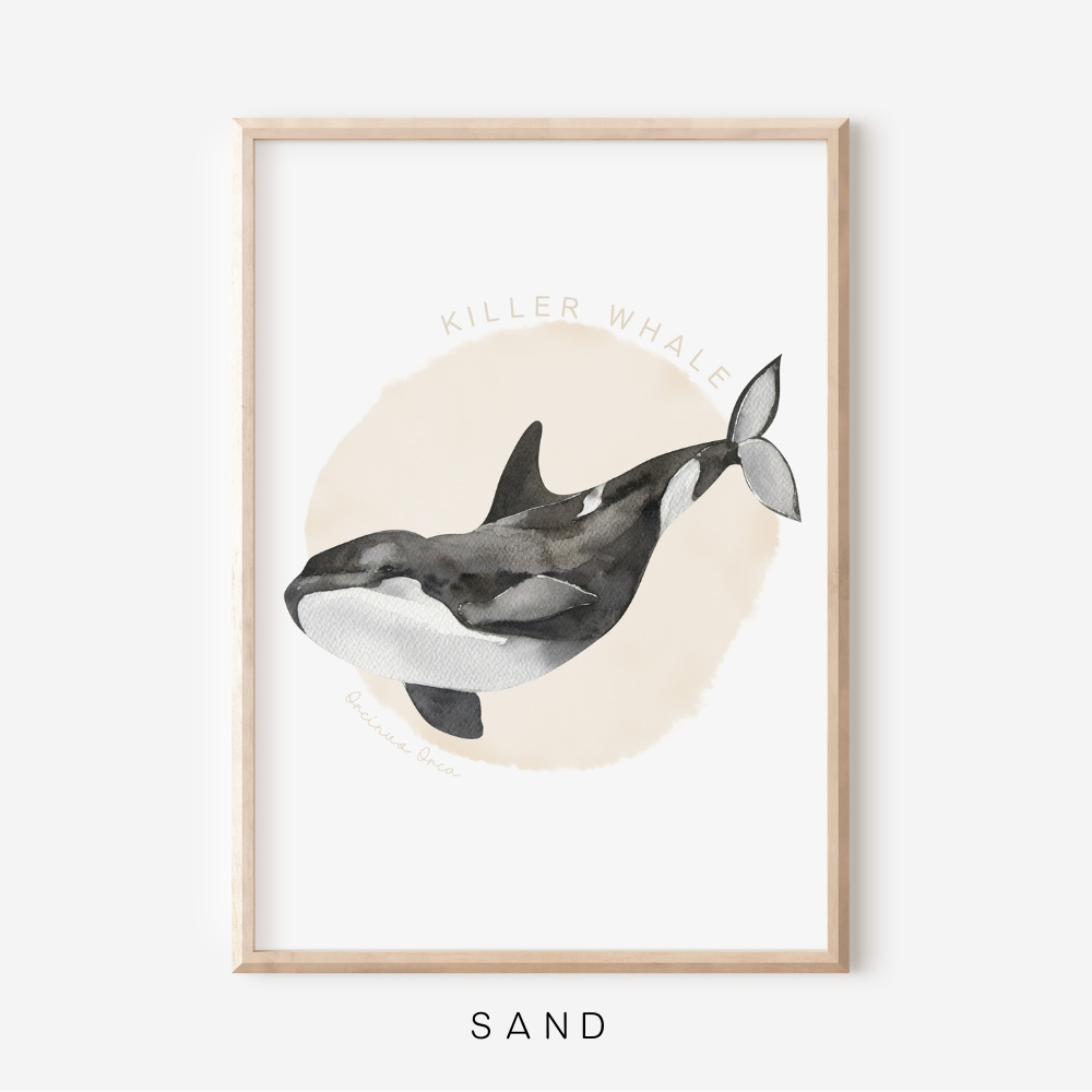 Ocean Life - Killer Whale | Art Print