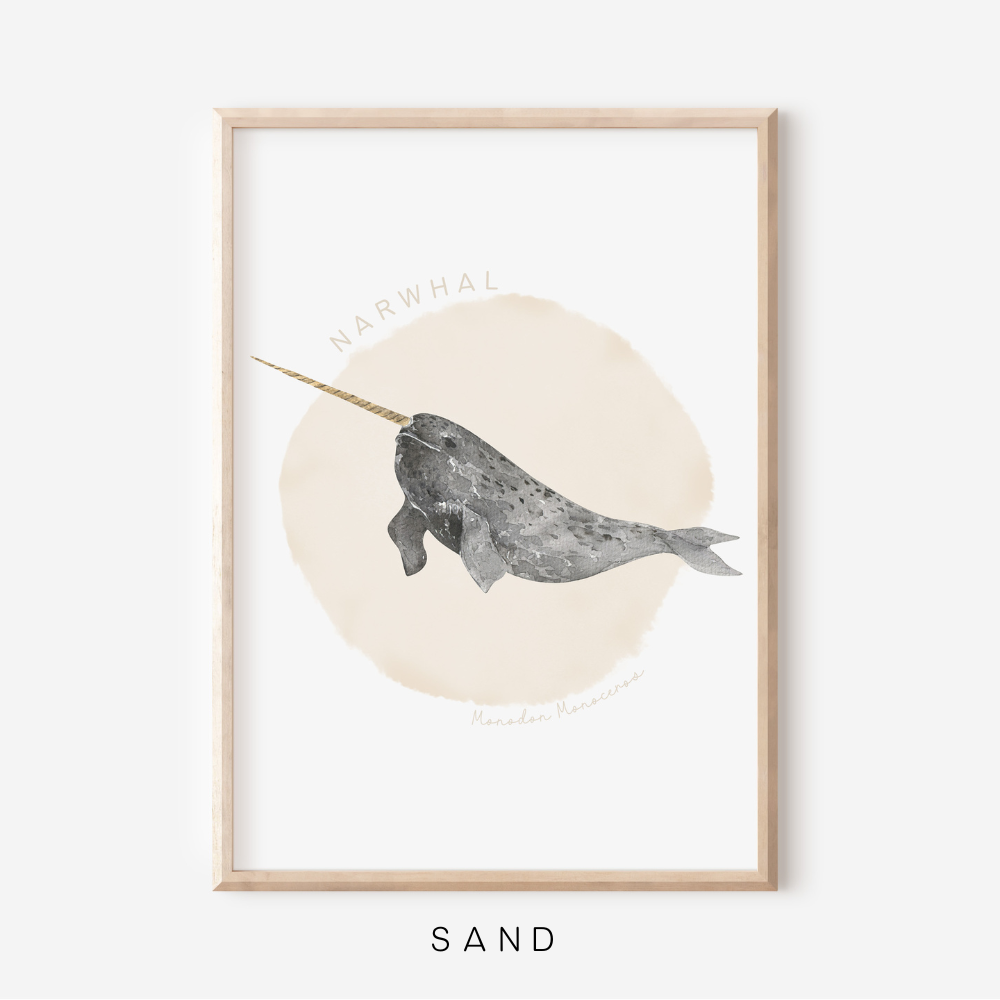 Ocean Life - Narwhal | Art Print