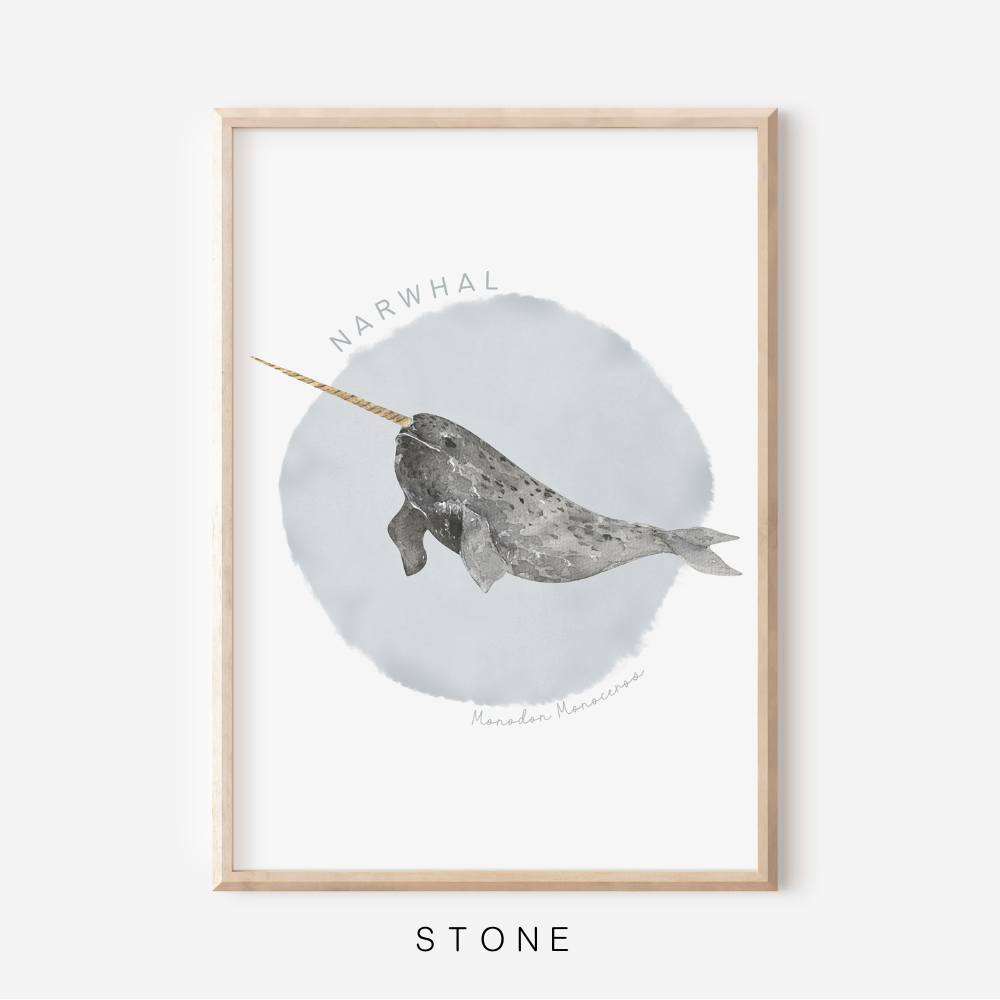 Ocean Life - Narwhal | Art Print