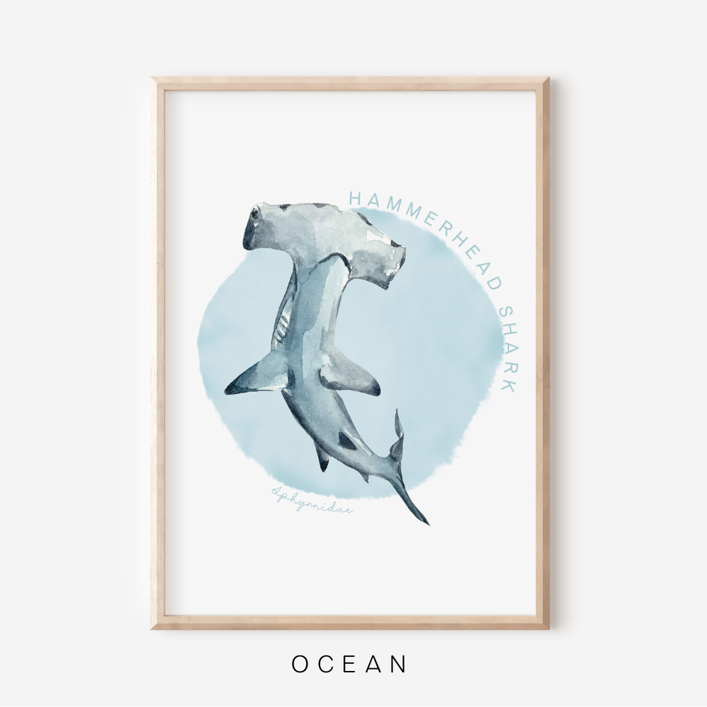 Ocean Life - Hammerhead Shark | Art Print