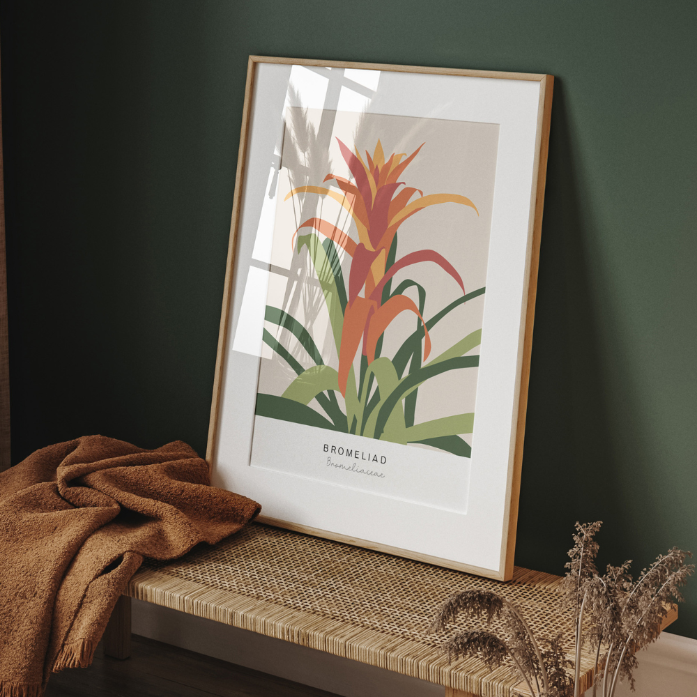 Bromeliad | Art Print