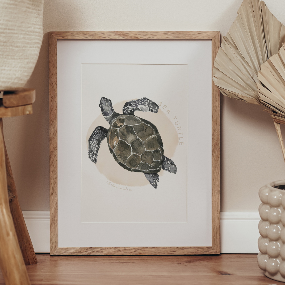 Ocean Life - Sea Turtle | Art Print