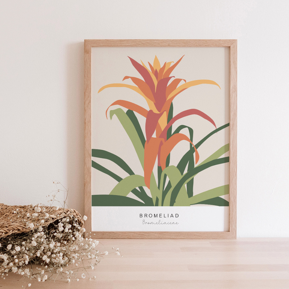 Bromeliad | Art Print