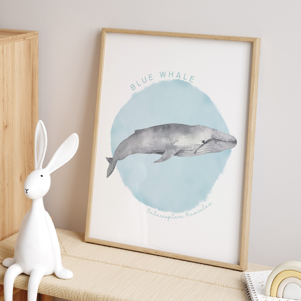 Ocean Life - Blue Whale | Art Print