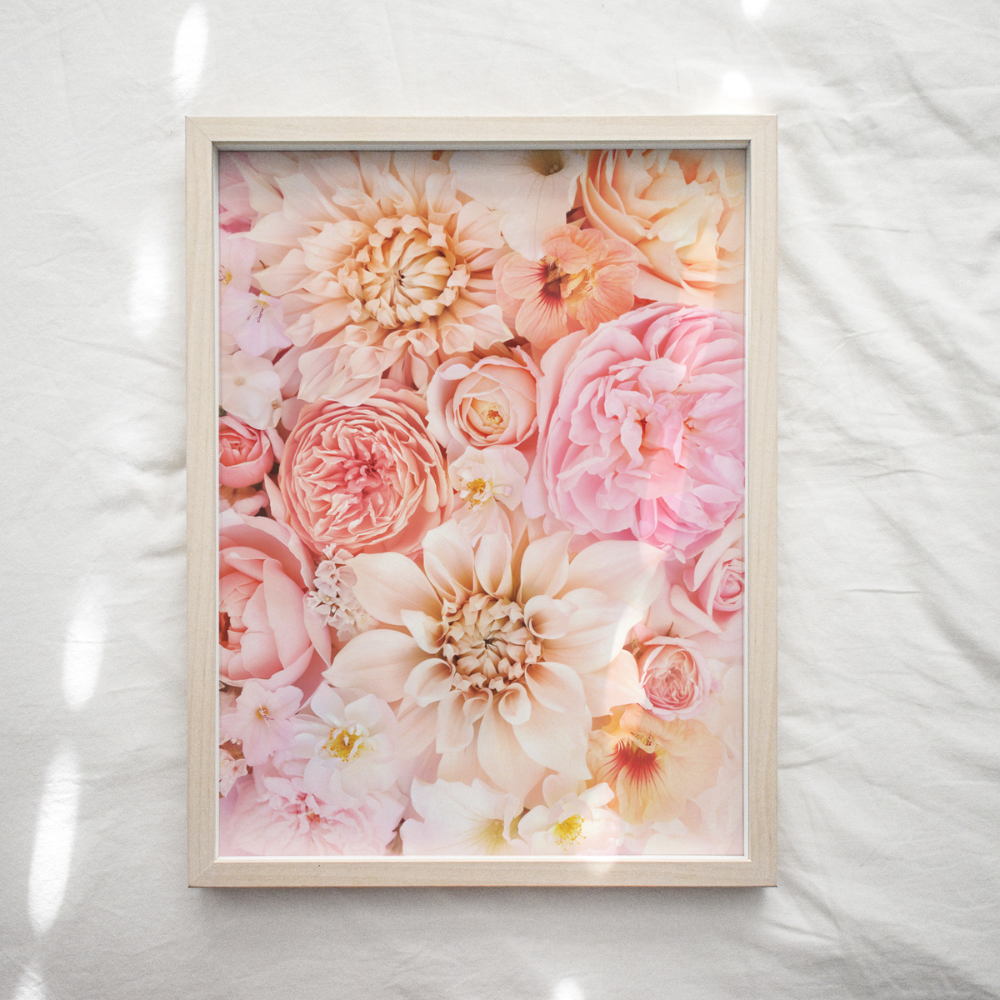 Blooming Dahlias | Photography Art Print