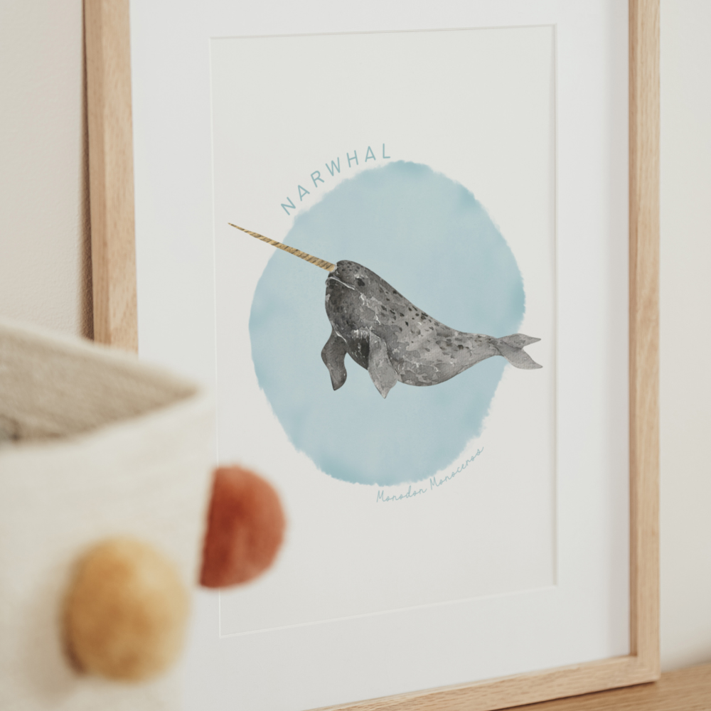 Ocean Life - Narwhal | Art Print