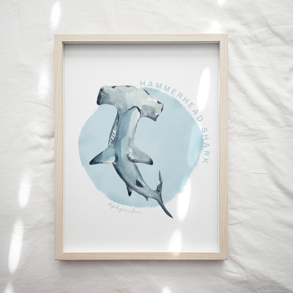 Ocean Life - Hammerhead Shark | Art Print