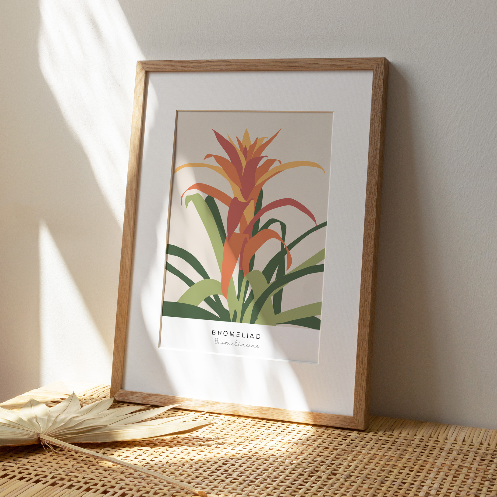 Bromeliad | Art Print