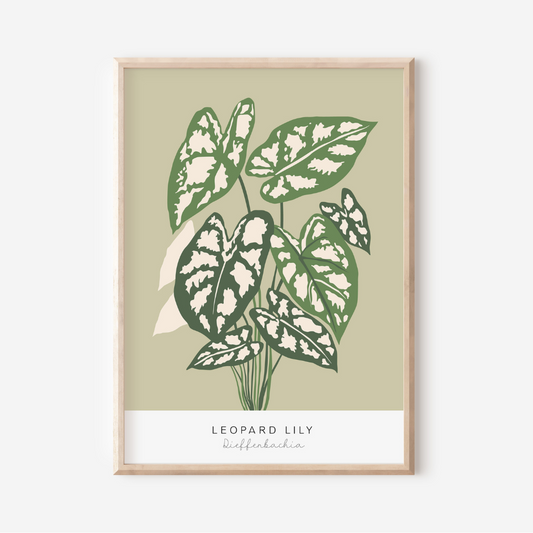 Leopard Lily | Art Print