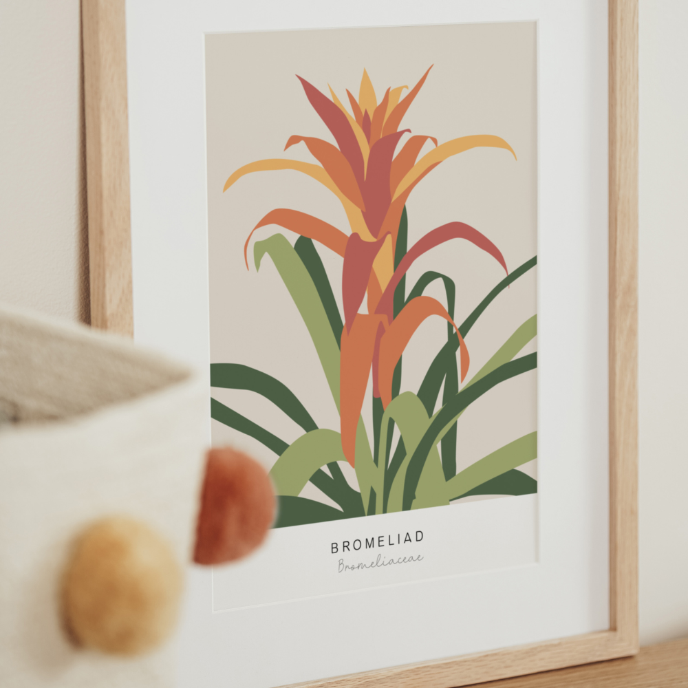 Bromeliad | Art Print