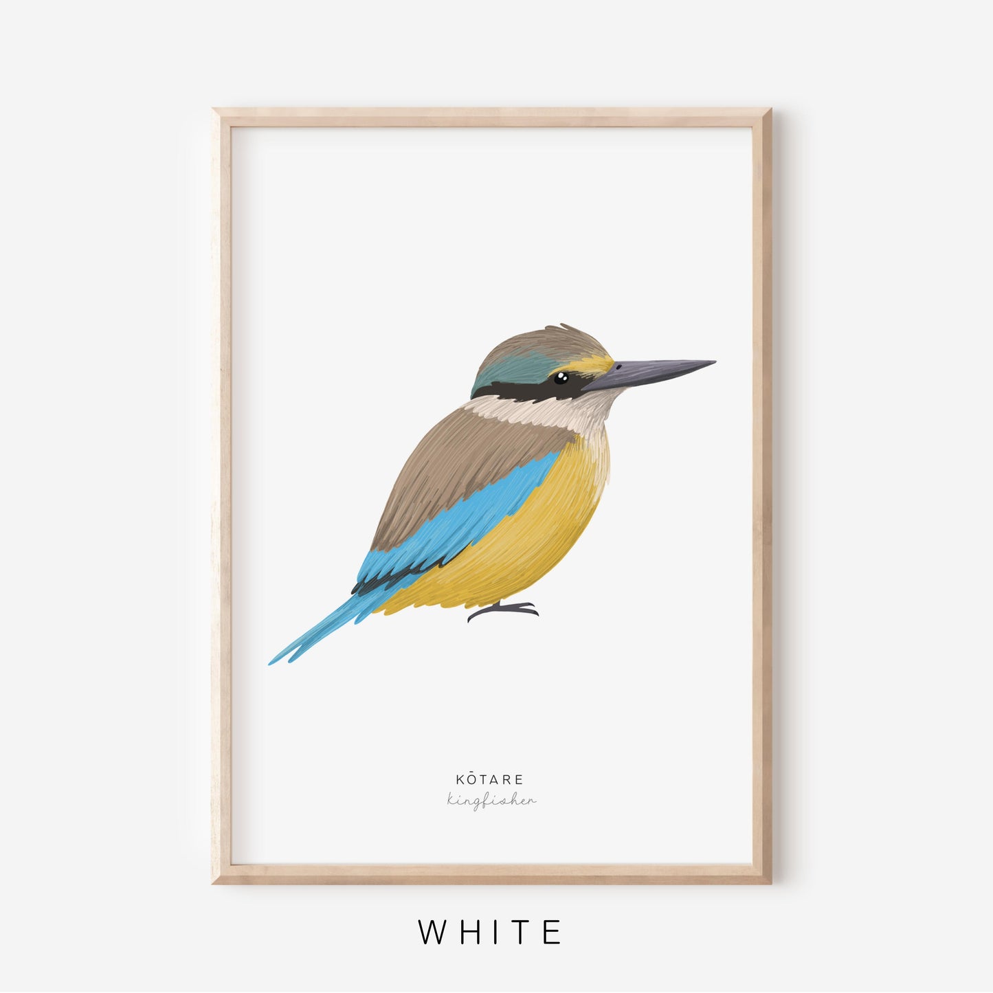 New Zealand Bird - Kingfisher | Art Print