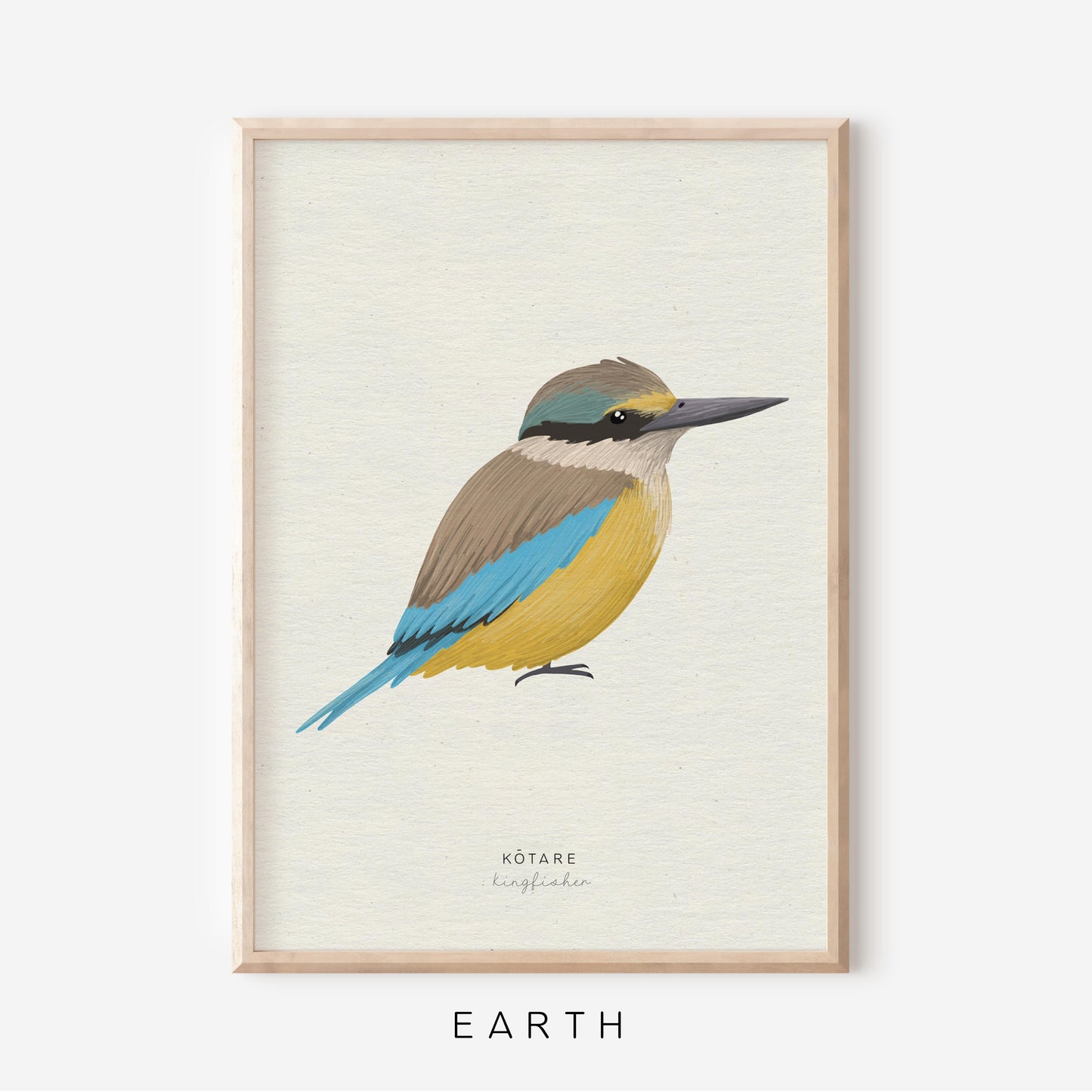 New Zealand Bird - Kingfisher | Art Print