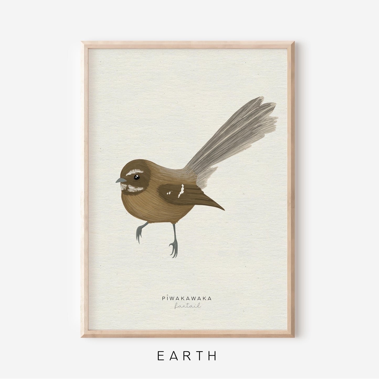 New Zealand Bird - Fantail | Art Print