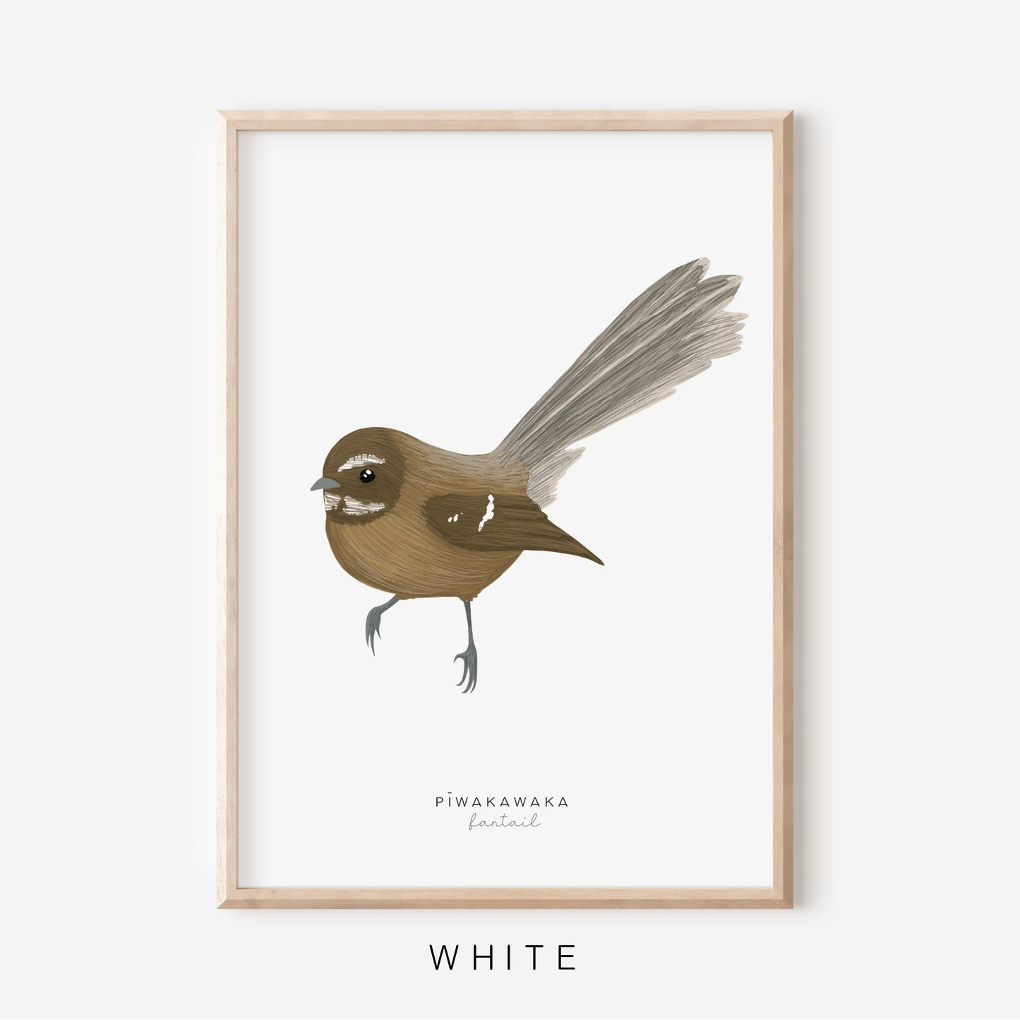 New Zealand Bird - Fantail | Art Print