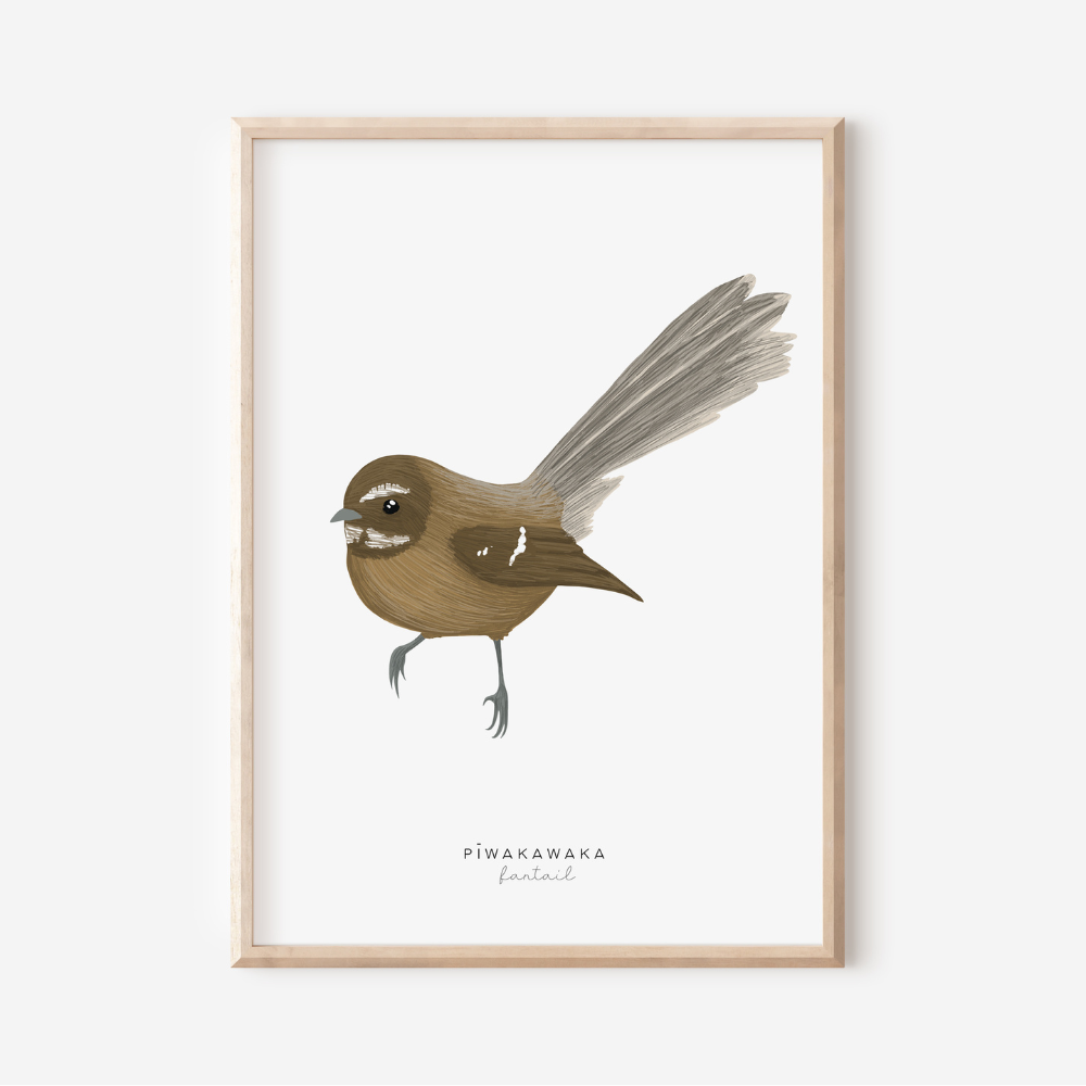 New Zealand Bird - Fantail | Art Print